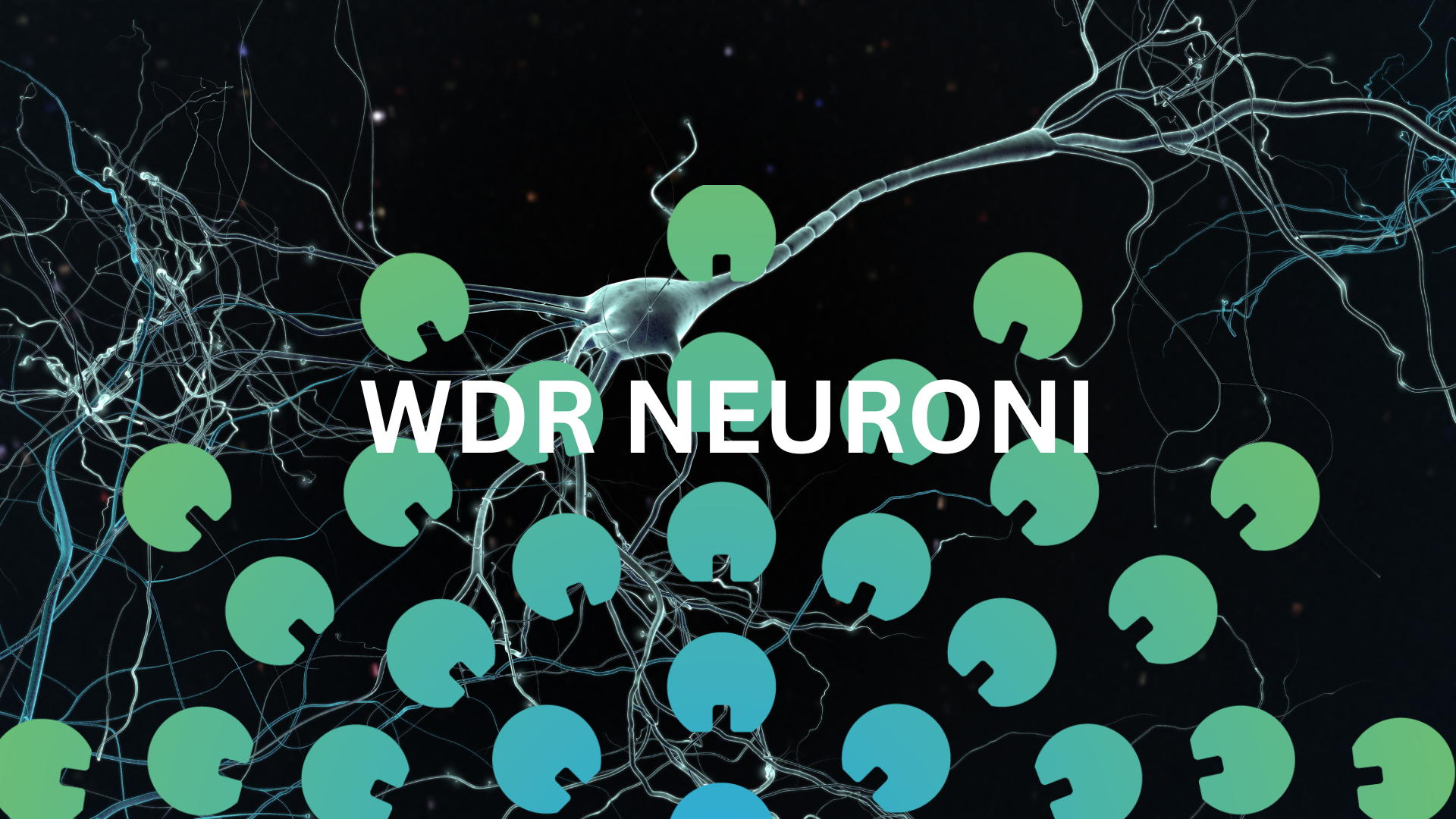 BOLNI SPOLNI ODNOSI (1)